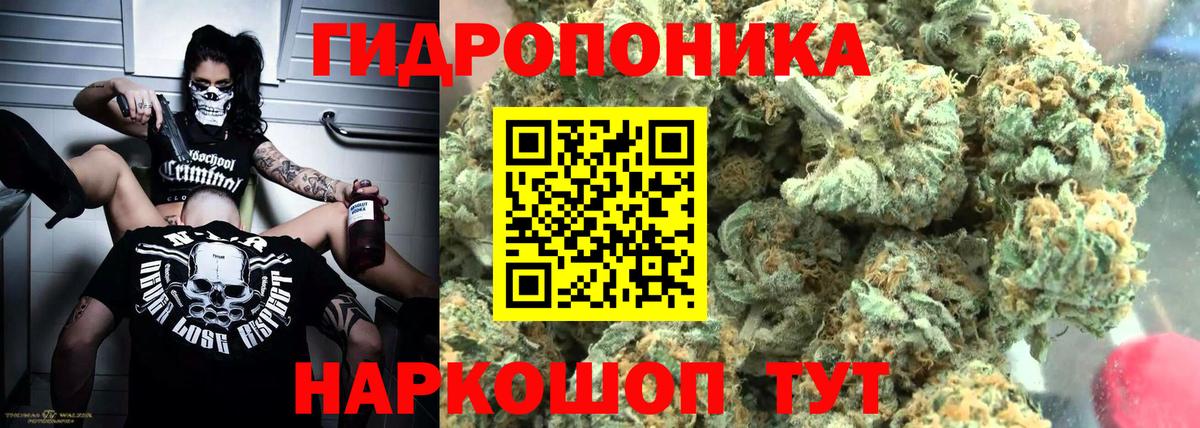 Бошки Шишки SATIVA & INDICA  Конопля индика  Шишки марихуана план  Апатиты  Марихуана ГИДРОПОН  Вход с VPN 